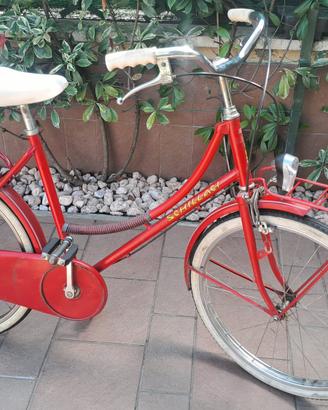 bici donna/ragazza