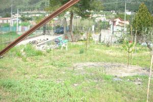 Terreno agricolo via pezzingoli monreale