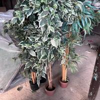 Piante  ornamentali per casa in plastica