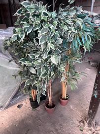 Piante  ornamentali per casa in plastica