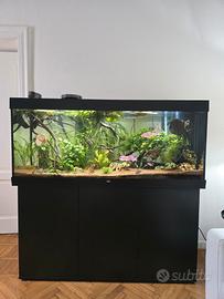 Juwel Rio 450 completo con pesci