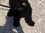 Immagine 1