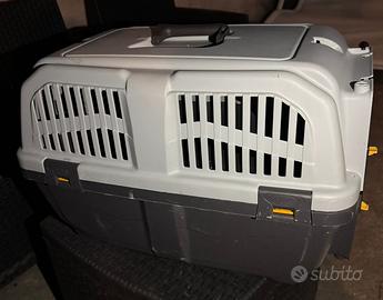 Ttasportino per cane
