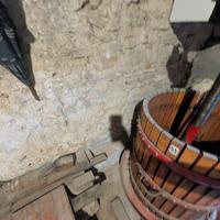 Torchio idraulico da 55