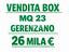 Immagine 16