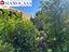 Immagine 23