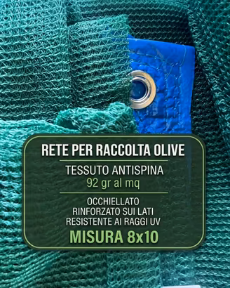 rete per olive 8x10