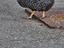 Immagine 5