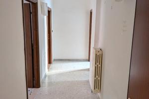 Trilocale abitabile e libero