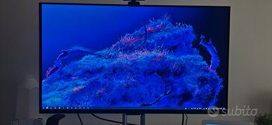 ASUS ProArt Display OLED PA32UCDM garanzia