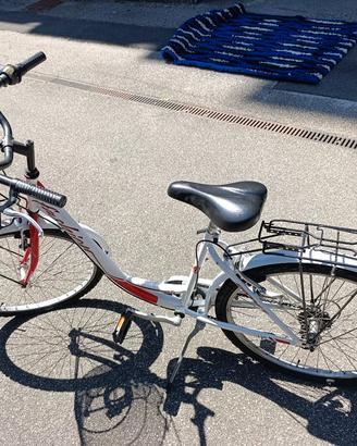 bici Mountain bike 