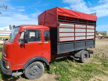 0m 40 trasporto animali cavalli 