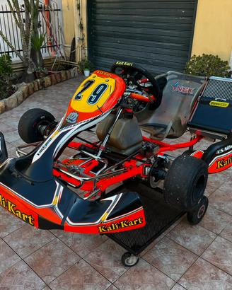 Go Kart 125 motore kz10b