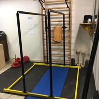 Parallele calisthenics