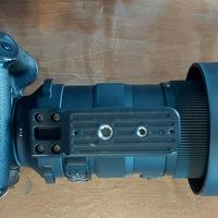 Canon 1dx +Sigma 60-600