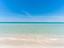 Immagine 8