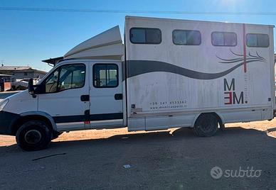 Iveco Daily 65 q.li trasporto cavalli