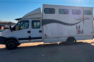 Iveco Daily 65 q.li trasporto cavalli