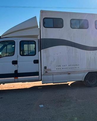 Iveco Daily 65 q.li trasporto cavalli