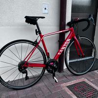 Canyon strada in carbonio