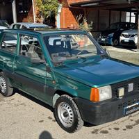 Fiat Panda 1100 i.e. cat Young