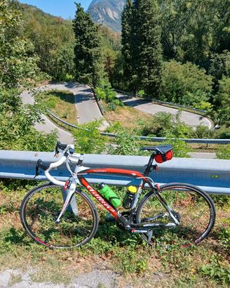 WILIER triestina izoard xp