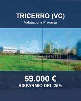 Immobile in asta di 2810 m² a Tricerro