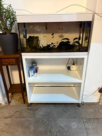 Acquario askoll pure xl con mobile