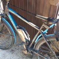 ebike  scoot  motore centrale bosch