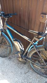 ebike  scoot  motore centrale bosch