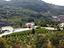 Immagine 13