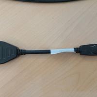 Cavo DisplayPort/DVI-D
