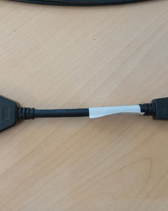 Cavo DisplayPort/DVI-D