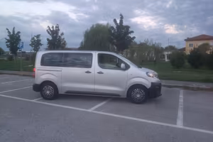 Peugeot Expert Traveller 1.5 BlueHDi 120 CV - 9 po