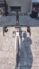 Bici de rosa 883