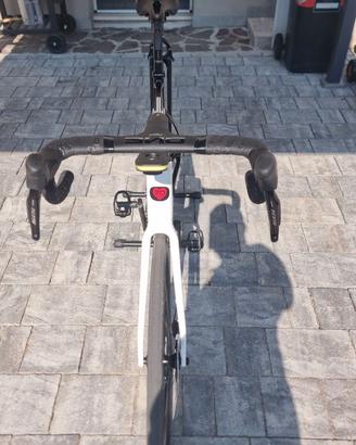 Bici de rosa 883