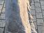 Immagine 7