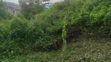 Effetto lavori Giardiniere