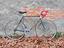 Immagine 1