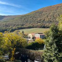 FARINA BIOLOGICA DI MONTAGNA