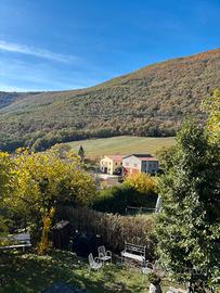 FARINA BIOLOGICA DI MONTAGNA