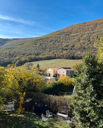 FARINA BIOLOGICA DI MONTAGNA