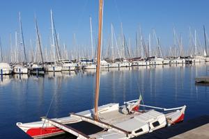 Catamarano a vela Wharram Tiki 21 n.856