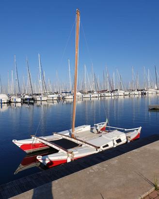 Catamarano a vela Wharram Tiki 21 n.856