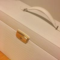 Valigetta portagioie Carpisa