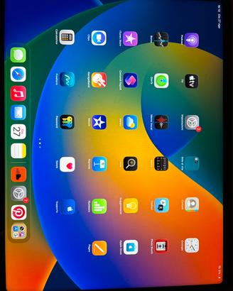 Ipad pro 12.9 M2