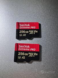 2x MicroSD SanDisk Extreme PRO 256GB - Pari al nuo