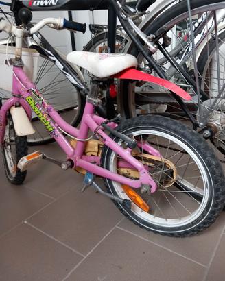 Bicicletta