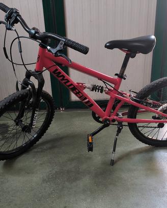 bicicletta da bambino 