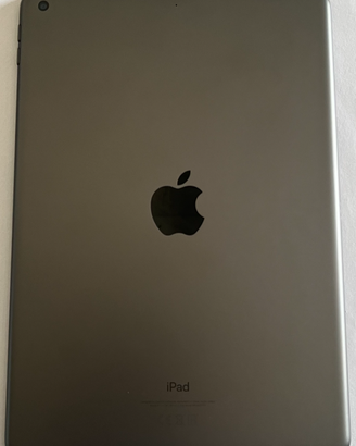 Apple Ipad